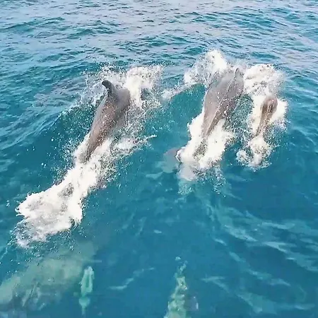 Dorado By Algarve Vacation * Albufeira
